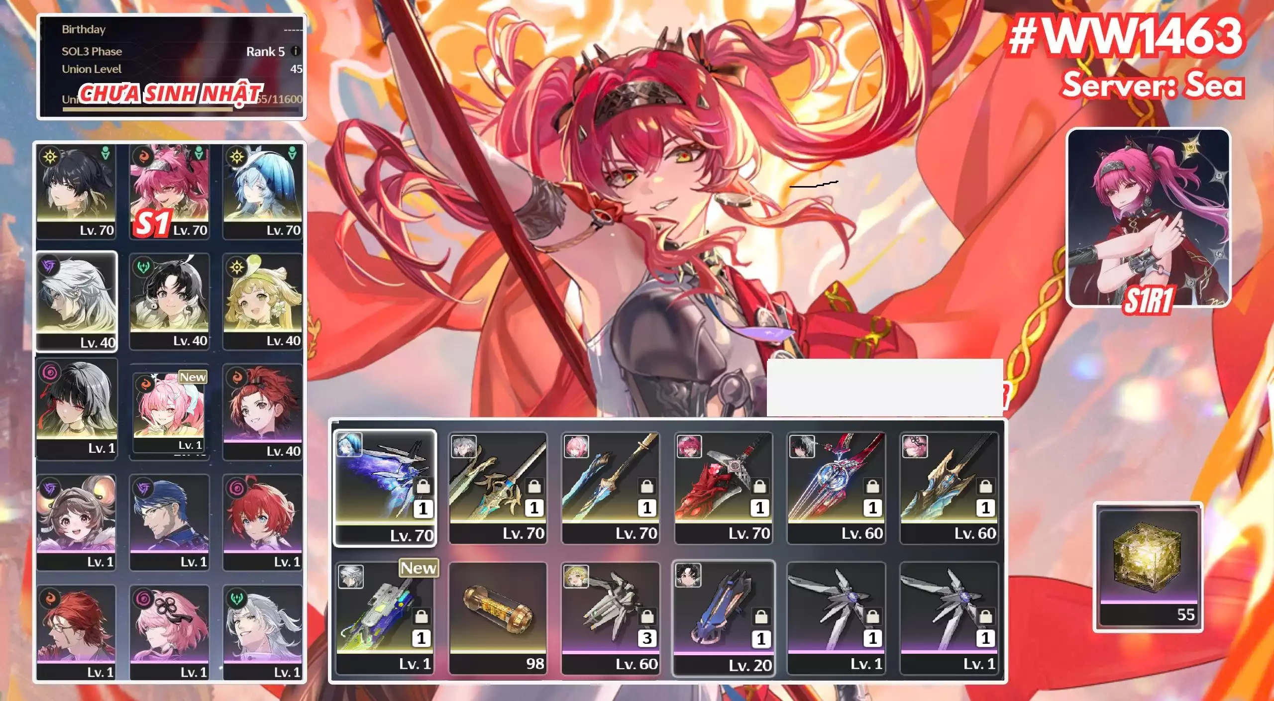 [ ACC VIP ] WW1463 SHOE R0A1 + LUPA R1A1 + Chisa Trấn + Aemeath